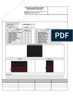 Formato Protocolo Inst. Enf y Mold