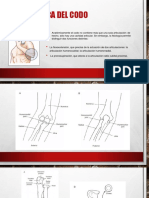 Biomecanica Del Codo