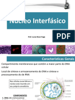 Aula em pdf - Núcleo Interfásico