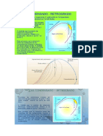 RESERVORIO RETROGRADO TAMBIEN Word