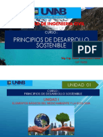 Facultad de Ingenieria Civil: Principios de Desarrollo Sostenible