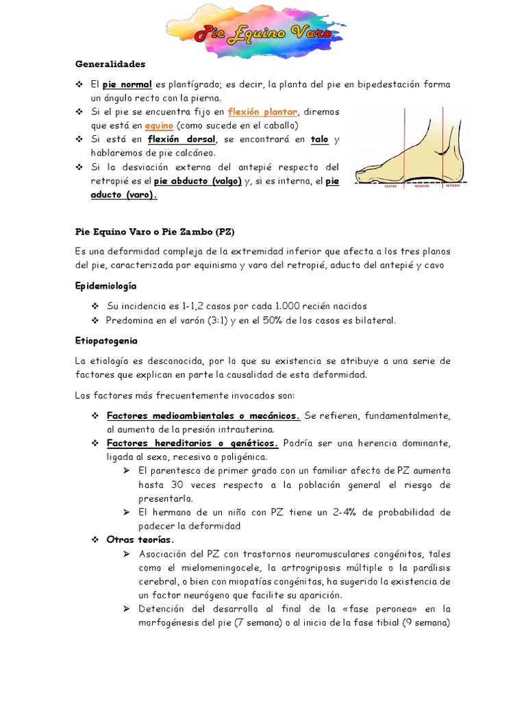 Resumen Pie Equino Varo PDF Pie Sistema musculoesquelético