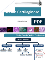 Aula11 em PDF - Tecido Conjuntivo Cartilaginoso