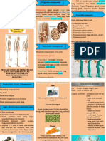 Leaflet Osteoporosis