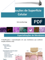 Aula4.1 em PDF - Especializações de Superfície