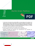 Practica N°1 Bacilos Gram Positivos