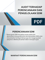 Audit Terhadap Perencanaan Dan Pengelolaan SDM