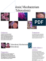 Tuberculosis (Micobacterium Tuberculosis)
