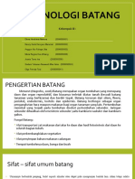 Organologi BATANG