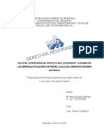 CICLO CONVERSION DEL EFECTIVO PDF