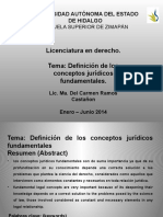 Conceptos juridicos fundamentales