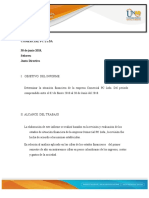 Plantilla Informe Gerencial Financiero Individual