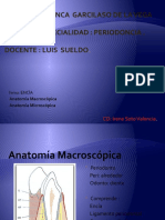 Encía: anatomía macroscópica y microscópica