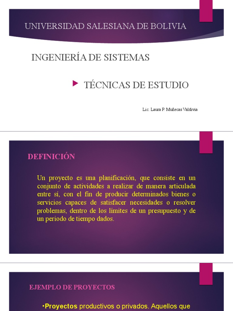 Guía para Elaborar Un Proyecto | PDF | Red mundial | Internet y web