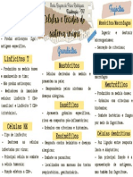 Mapa Mental de Imunologia