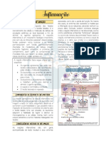 Inflamação: Visão Geral da Resposta Inflamatória