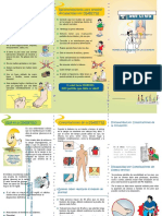 Diabetes Triptico