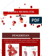 Anemia Hemolitik