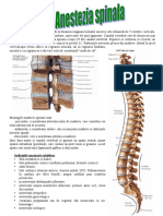 Anestezie Spinala
