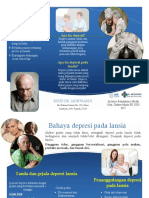 Leaflet Depresidocx PDF Free