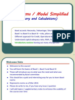 BN 01 Basel Model Simplified