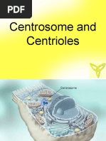 Download Centrosome  Centrioles by Ngee Kiat SN54199586 doc pdf