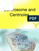 Download Centrosome  Centrioles by Ngee Kiat SN54199586 doc pdf