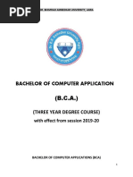 B.C.A. 3 Yr Degree Course