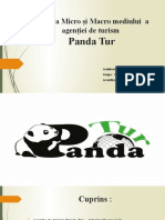 Analiza Micro Și Macro Mediului a Agentiei Panda Tur