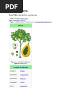 Download Carica Papaya by budimans99 SN54202566 doc pdf