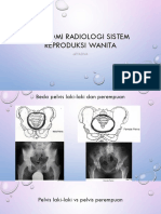 Anatomi Radiologi Sistem Reproduksi Wanita