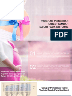 Ulfa Al Uluf - Program Pemberian TTD Pada Ibu Hamil