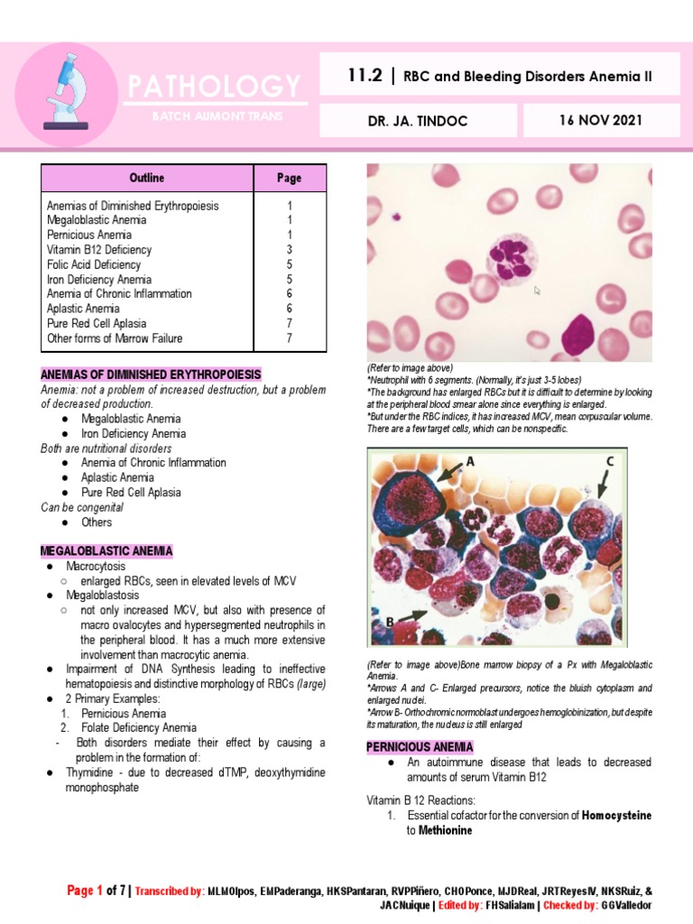L11.2 - PATHO - Anemia II (Nov1621) | PDF | Anemia | Vitamin B12
