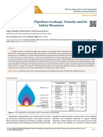 Natural Gas Pipelines Leakage, Toxicity and Its Safety Measures