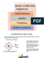 3 Acidos Nucleicos