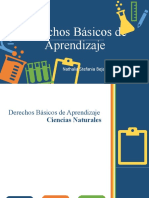 Derechos Básicos de Aprendizaje: Nathalia Stefania Bejarano Ibañez