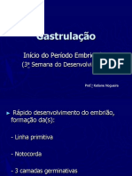 Gastrulação e formação das camadas germinativas