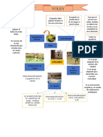 Organizacion Visual Voley