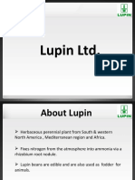 Lupin Final