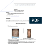 Guía Taller Semiología de Abdomen