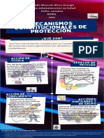 Infografía Sobre Los Mecanismos Constitucionales de Protección.
