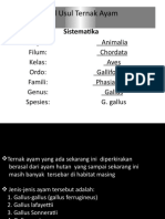 Domestikasi Dan Asal Usul