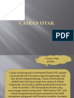 CAIRAN OTAK