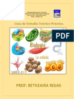 Guia Biologia 3 A-B-C Prof Bethazaira