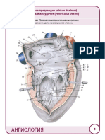 КАРТОЧКИ АНГИОЛОГИЯ