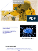 Bases Neurobiológicas Del Aprendizaje y Memoria