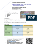 Sistema digestivo: Tubo digestivo y tiempos de digestión