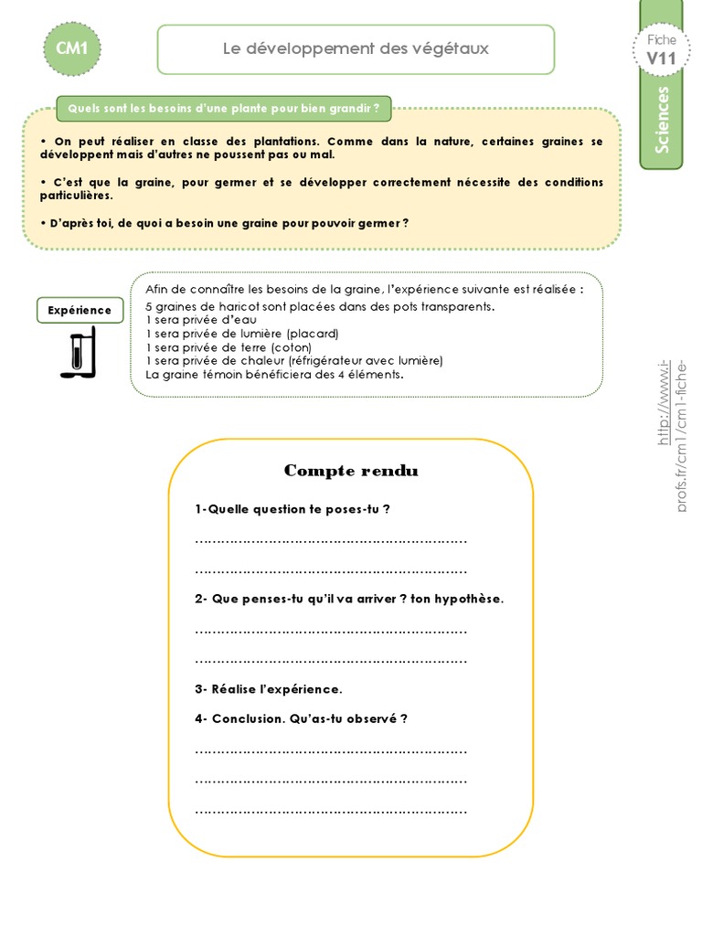 Le Développement Des Végétaux Cm1 Cm1 Trace Ecrite Developpement Vegetaux | PDF | Plantes | Fruit