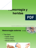 CH07_Hemorragia y heridas (1)