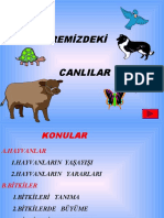 Cevremizdekicanlilar